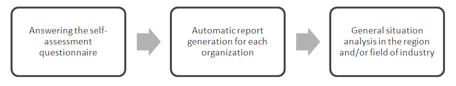 Figure 2. HRM Audit process